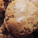 Macaron Pacane Érable - Maison Pra